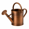 Arrosoir Métallique 10L Bronze avec Poignée Classique