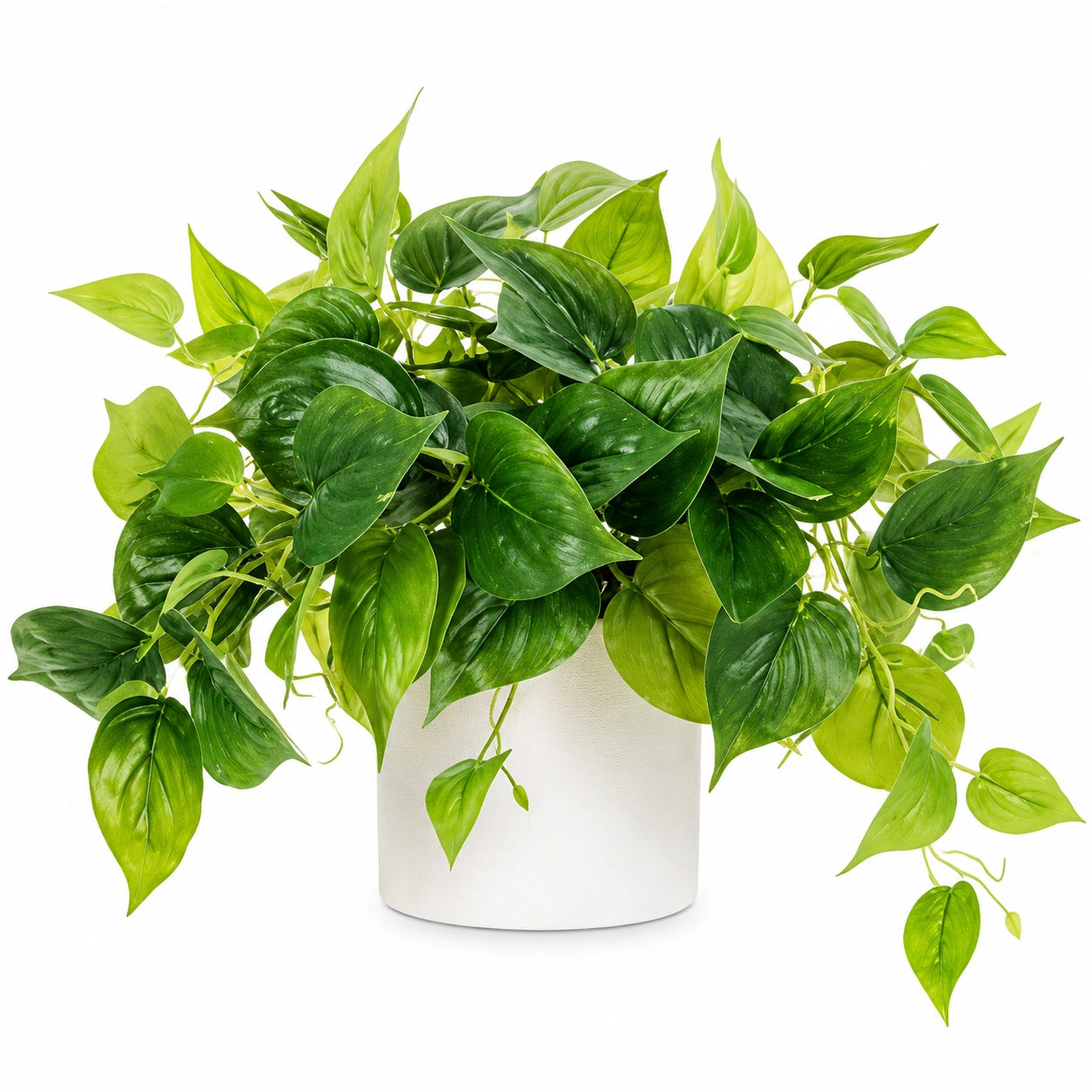 Plante Artificielle avec Pot Céramique Blanc 45 cm