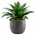 Plante décorative artificielle avec pot 60 cm vert