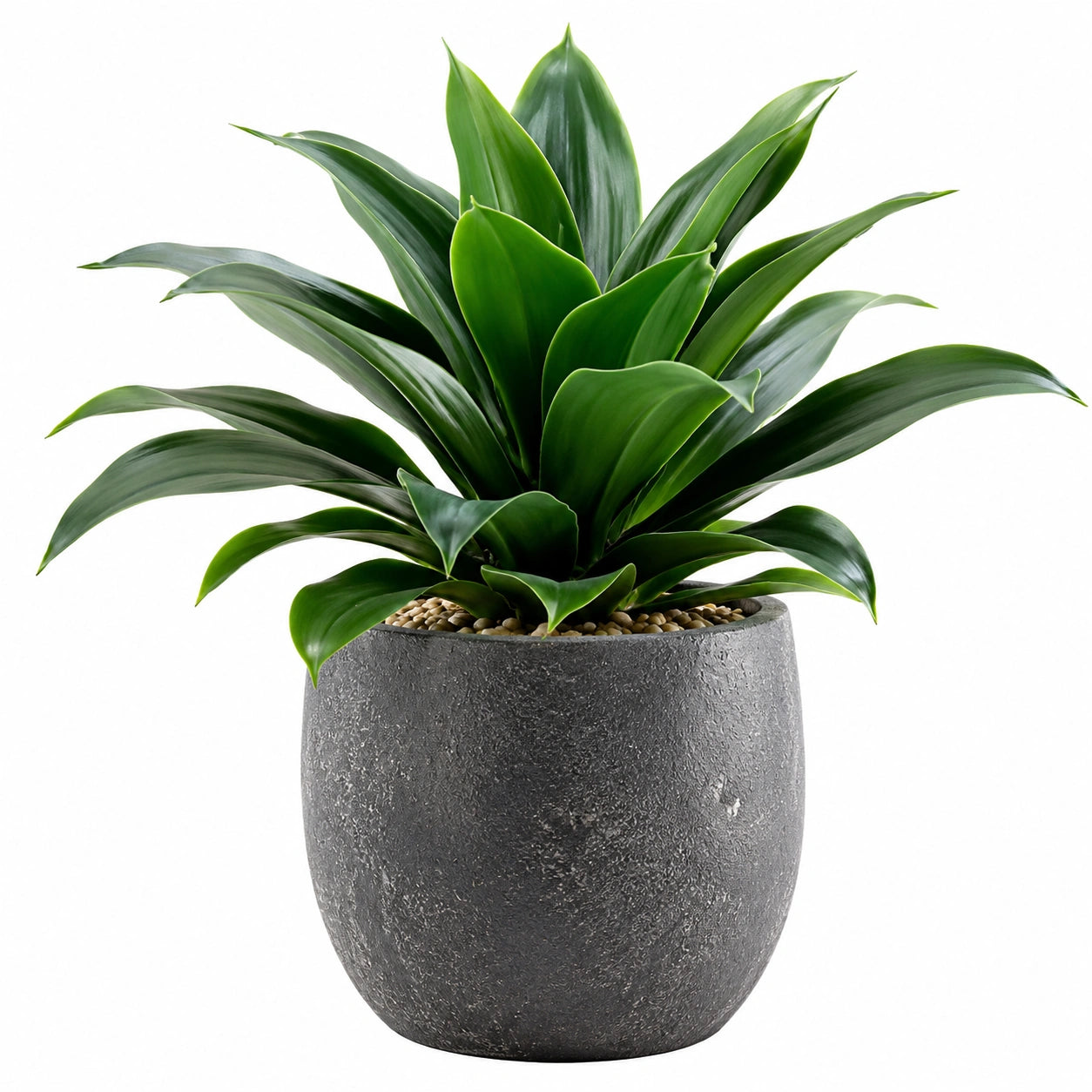 Plante décorative artificielle avec pot 60 cm vert
