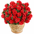 Géranium artificiel rouge en pot décoratif